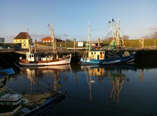 Fischkutter-Hafen-Pellworm